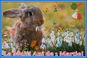 Felicitare