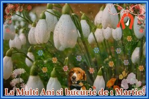 Felicitare