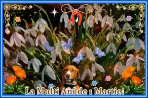 Felicitare
