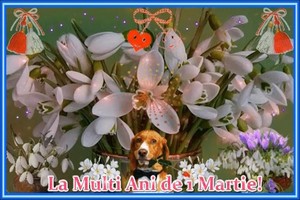 Felicitare